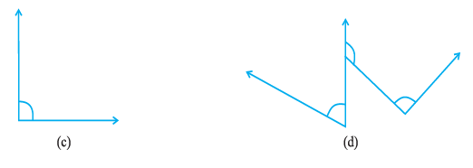 Page 97 Chapter 5 Class 6th Non-Rationalised NCERT 2019-20